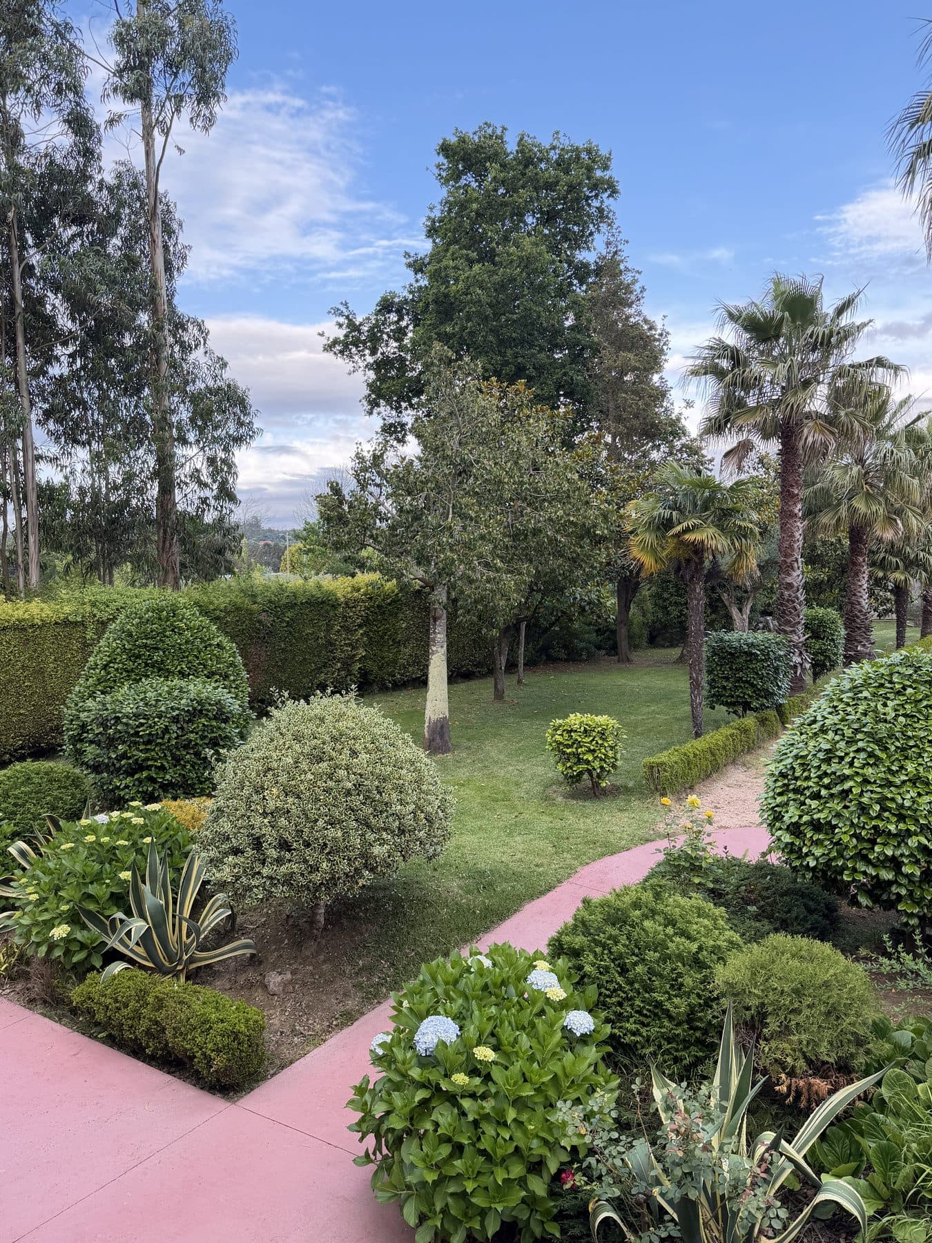 Palmeras y hortensias en el jardín de Finca La Oliva